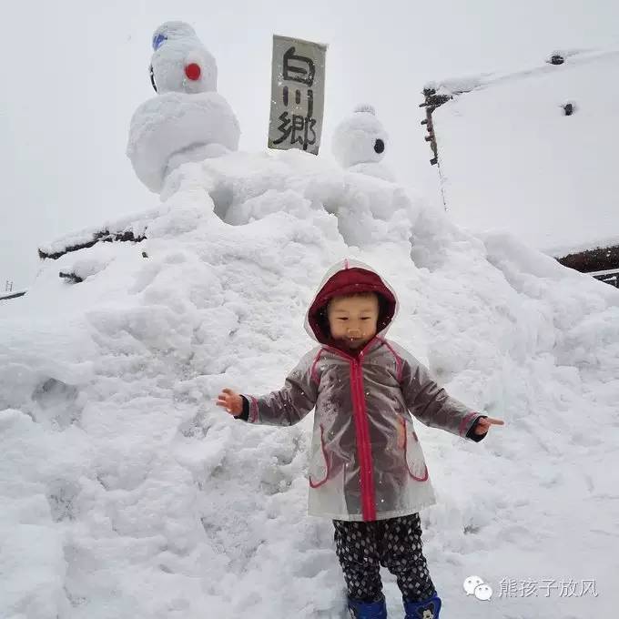 这个冬天我们一起去日本看雪,去日本看雪景哪个地方好