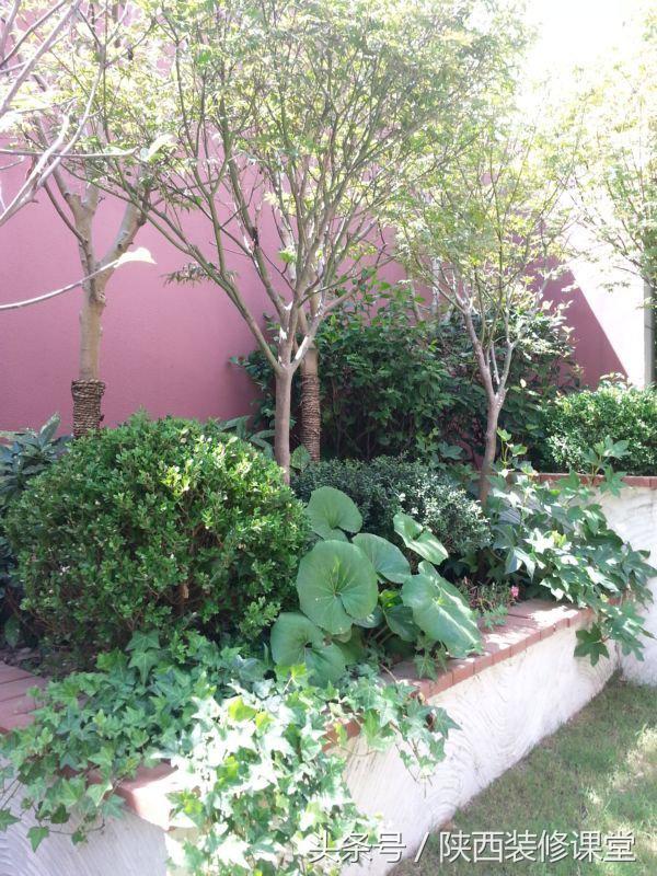 200平庭院花园轻奢,280平花园法式