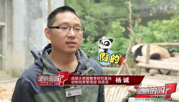 大熊猫前爪有多少个手指,大熊猫右手是否有六只手指