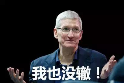 iphone满电自动断电看数据线还是头,iphone系统出问题自动关机