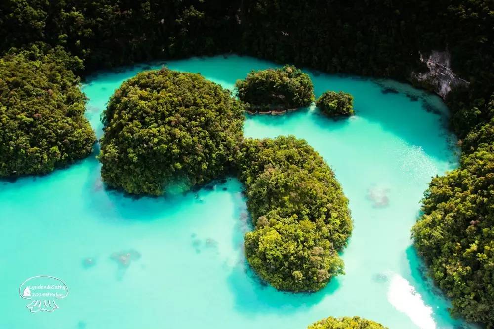 帕劳上帝水族馆介绍,帕劳上帝水族馆攻略