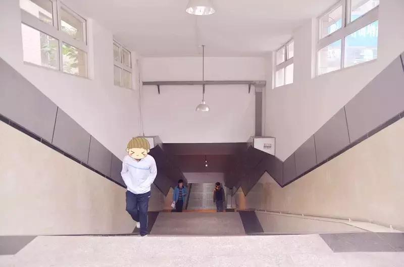 全国十大最美银杏大学,全国最美银杏大学