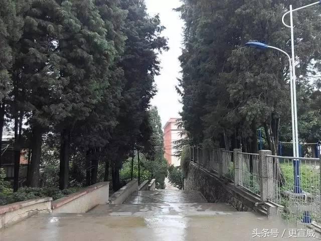 閲嶆父姣嶆牎瀹ｅ▉甯堣寖瀛︽牎,鍐嶈鎴戜滑鐨勯潚鏄ユ姈闊崇増