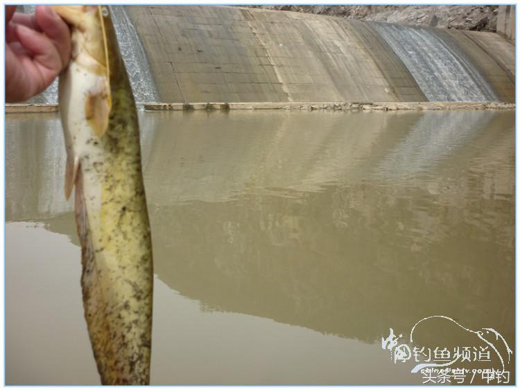 虎岭钓鱼路亚,虎岭钓鱼场