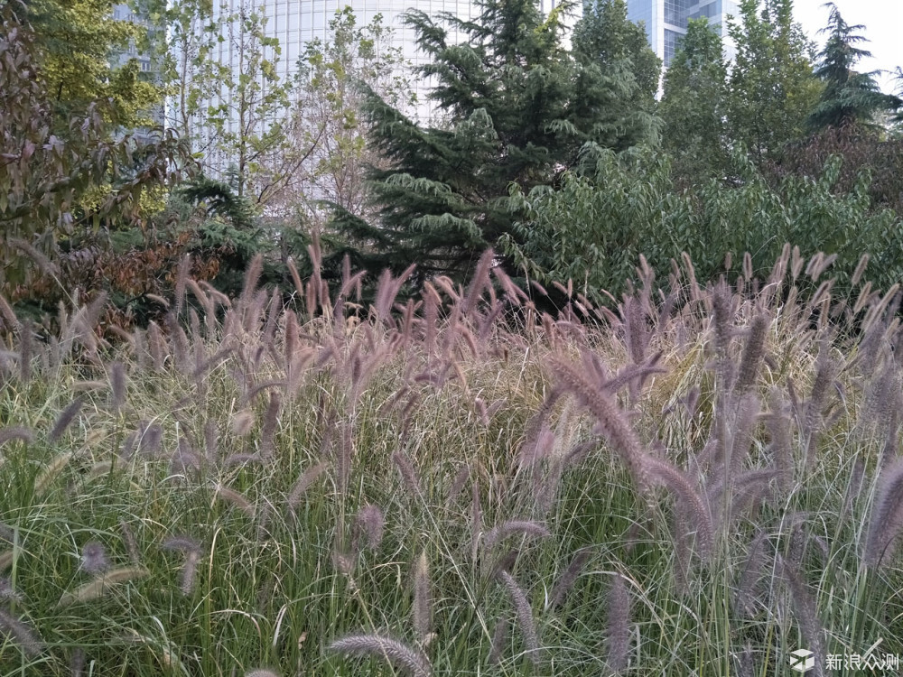 oppor9s值得入手吗,oppor9splus