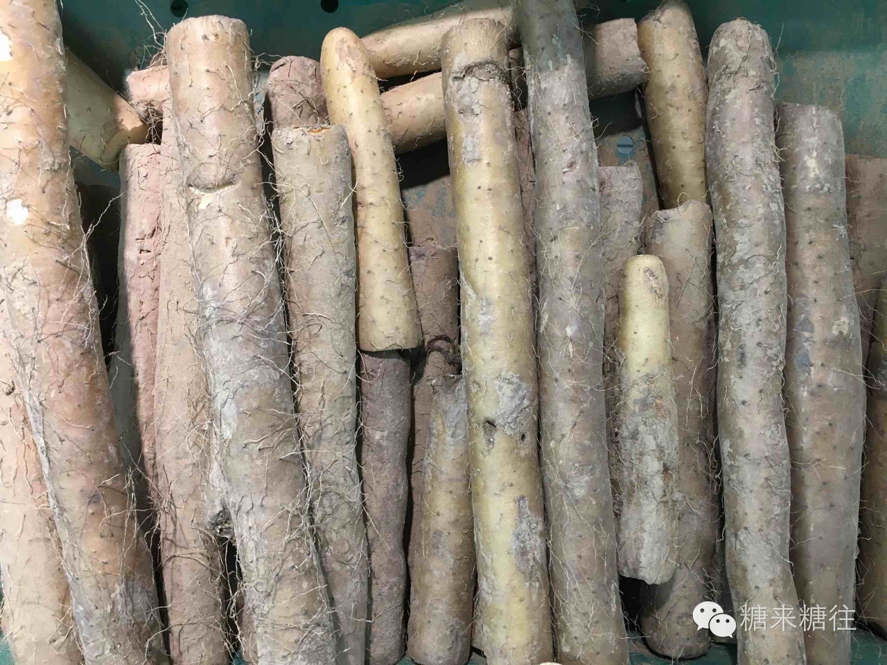 中医耿新生治疗糖尿病真能治好吗,糖尿病视力黄斑水肿中医怎么治疗