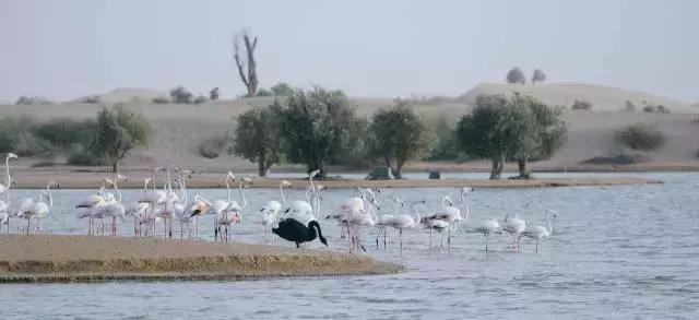 阿联酋迪拜哈姆丹国际摄影大赛,巴塞罗那最佳摄影点