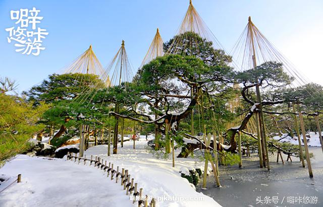 日本金泽游记,日本攻略交通篇