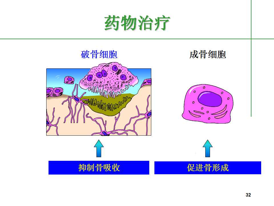 人到中年后骨质疏松要怎么治,中老年人骨质疏松该怎么办