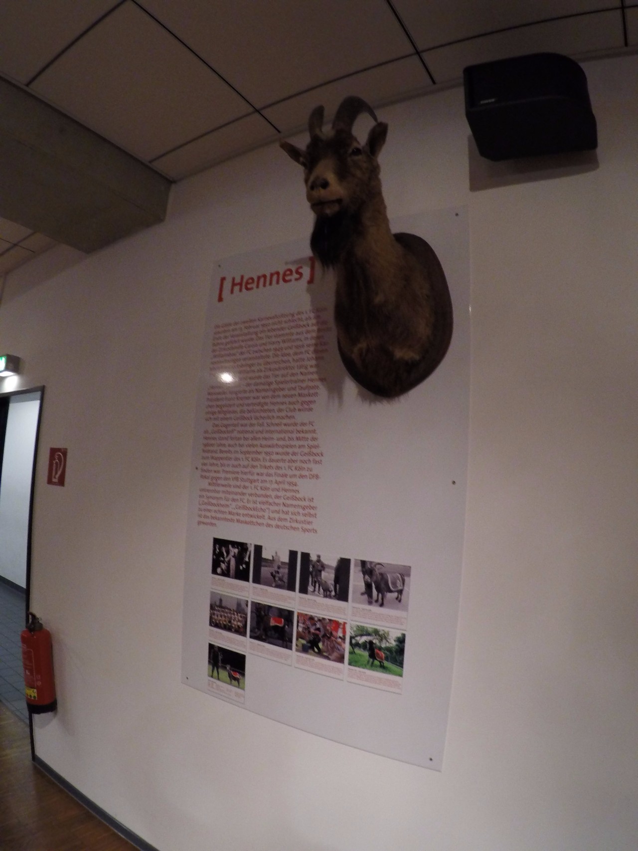 德国足球欧洲赛事,德国足球之旅