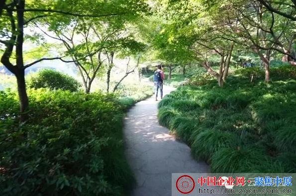 彩云诗词园总40期诗人雅集：胡耀桢诗歌,一