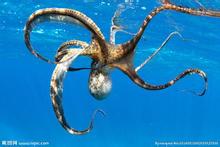 超级冷知识你绝对不知道,你绝对不知道的几个冷知识