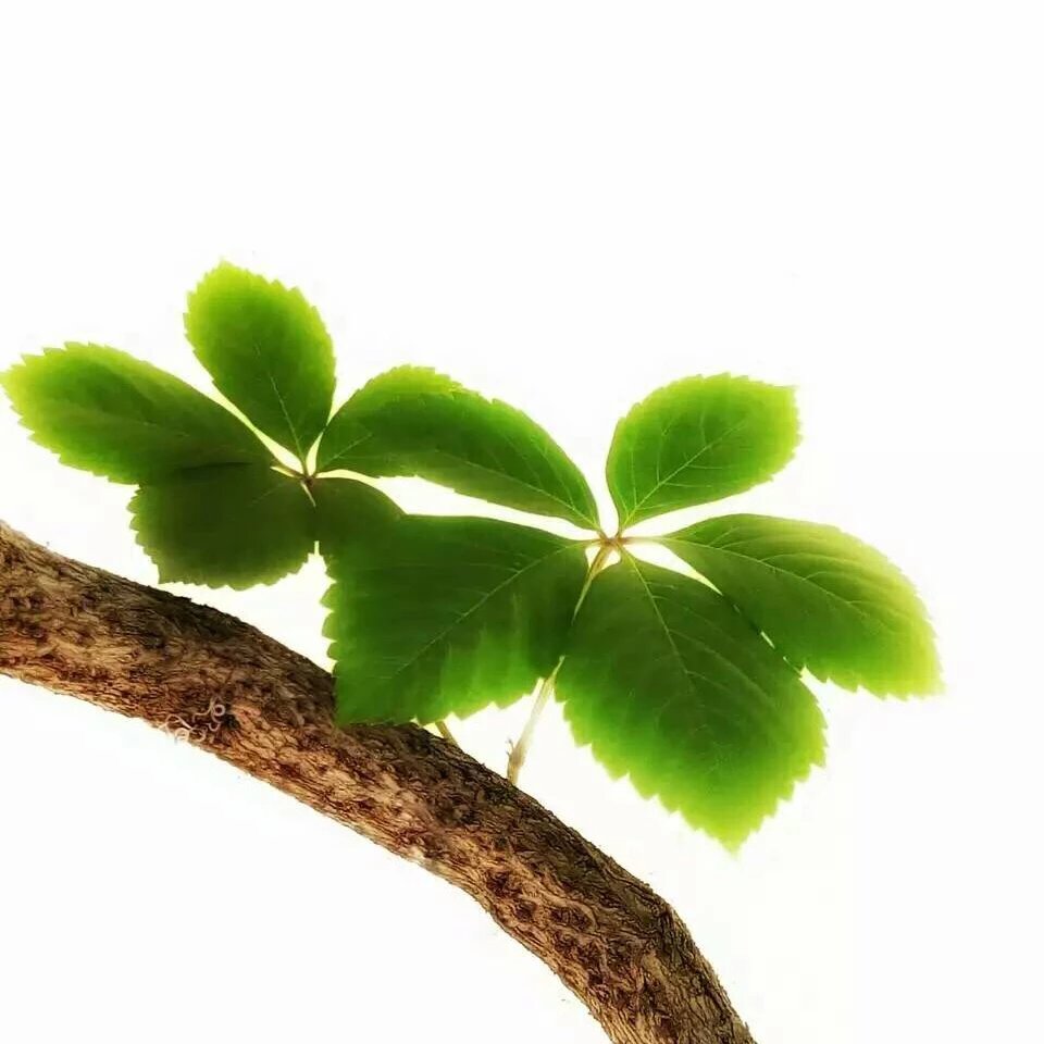 闺蜜之间怎么相处,怎么才可以对闺蜜说甜言蜜语