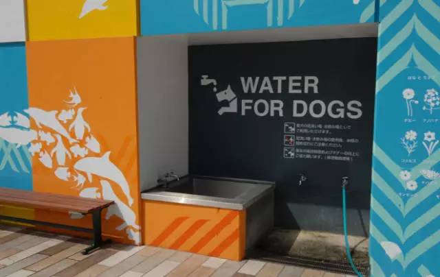 成都人爱逛伊藤,成都人喜欢去伊藤洋华堂