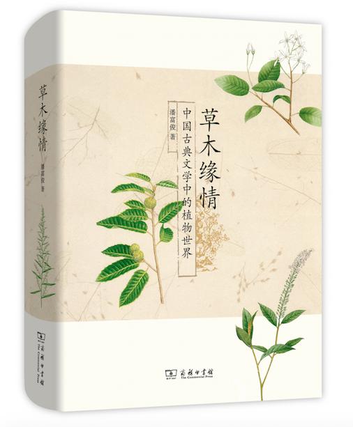 2015年夏季20本重点书