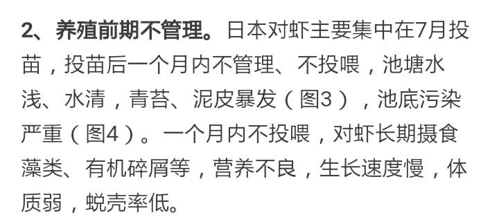 对虾纤毛虫哪个阶段比较容易出现,怎样防治对虾的孢子虫