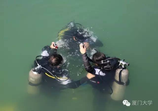 体育微型课游泳,二年级体育公开课攀岩