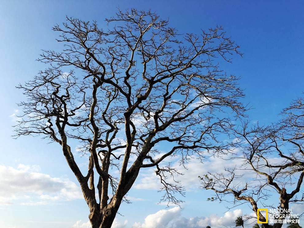 侠骨柔情展现的淋漓尽致,侠骨柔情温柔似水