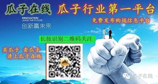 瓜子最新价格行情,2022年新葵花瓜子行情