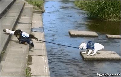 还一个球队都有这么一个球迷就赢了