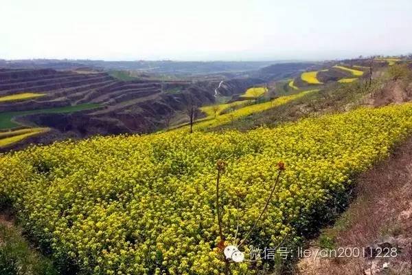 跨越千年时光看兵马俑,跨越千年唐十八陵