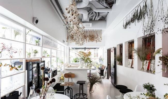 世界上最奢侈花店,世界最奢侈的花园