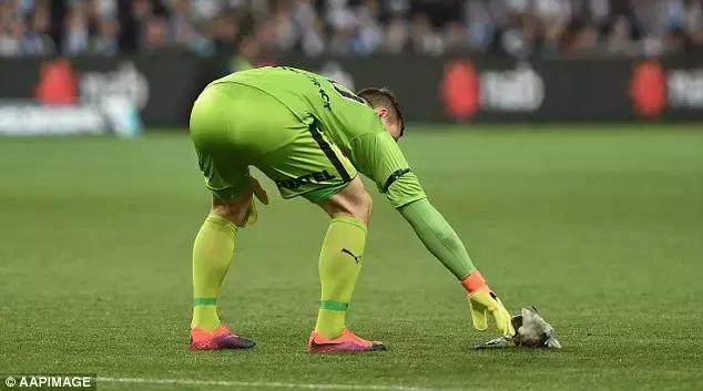 悉尼一只海鸥误入足球赛场，被一球打晕后，成了全场焦点……