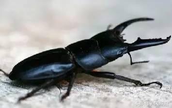 8090后的回忆你们经历过吗,8090共同的回忆完整视频