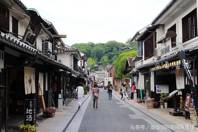 山阴山阳地区五县旅行线路指南