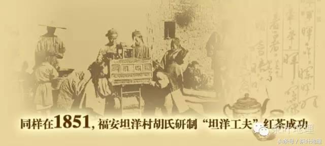 坦洋工夫红茶历史记录,坦洋工夫和创新型红茶哪个好喝