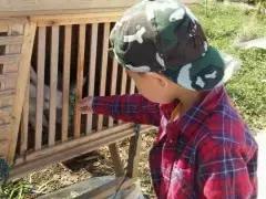 南京好玩的农家乐度假村排名,南京农家乐周末最值得一去的地方