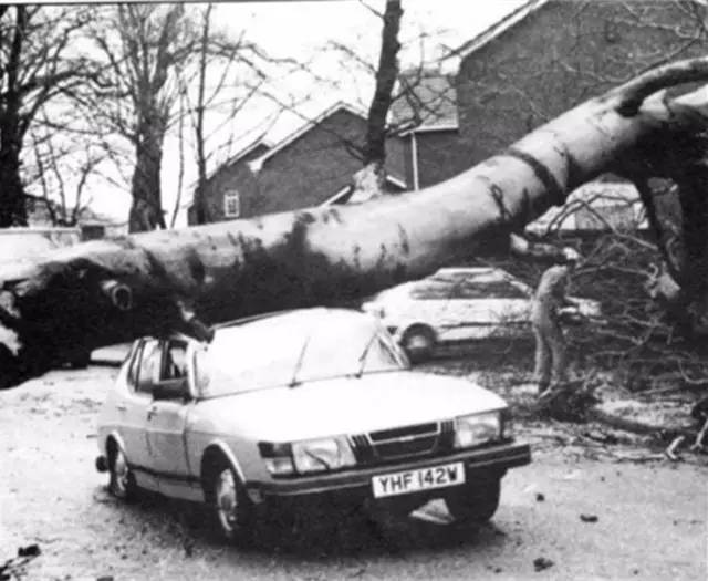 鍗ц檸钘忛緳涔岄獡瀹濋┈鍦ㄥ摢,鍗ц檸钘忛緳