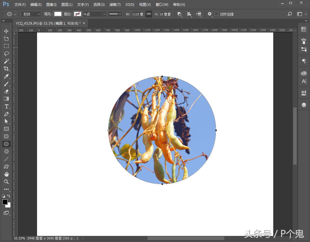 photoshopcc图像处理,adobephotoshopcc2018