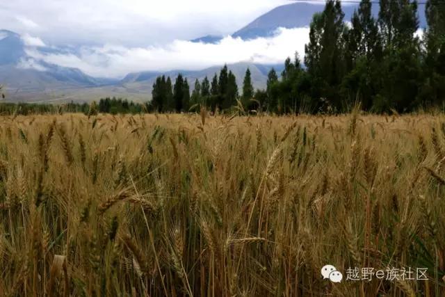 说走就走出去溜达,说走就走出去玩视频