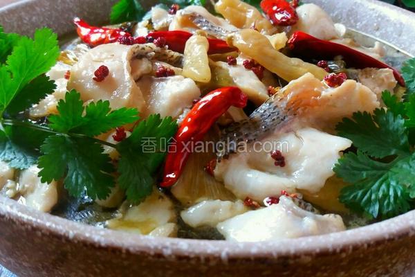 剔鱼片的教程,鱼片的切法剔除鱼刺视频