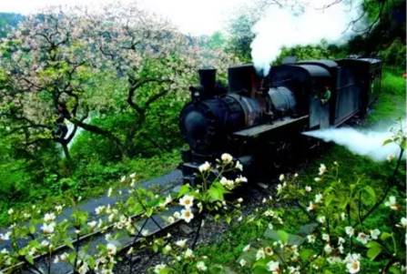 火车票网上预售几点可以抢票,火车票开售前预约抢票流程