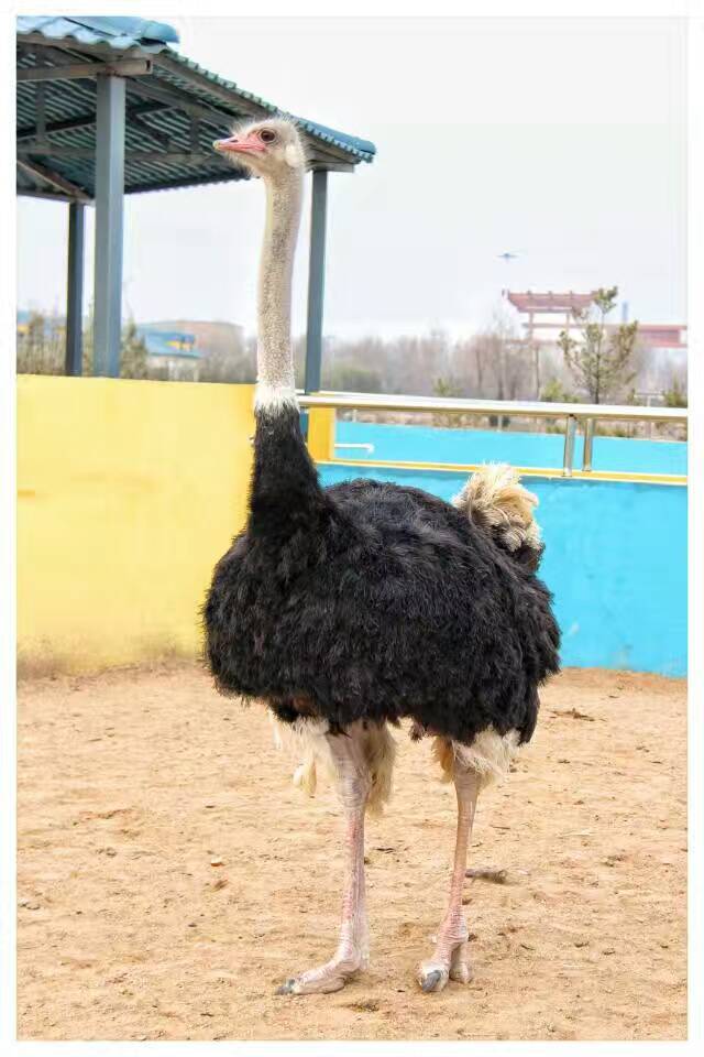 德州记者摄影师,德州专业摄影师