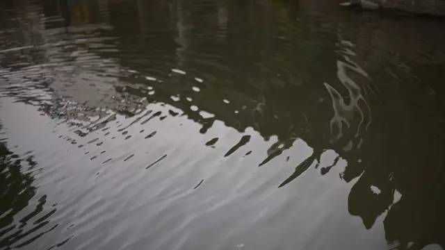 水没有故事，故而郑重其事