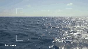 作为摄影师的“鸡”，你必须扛得起相机、拍得了防抖视频！