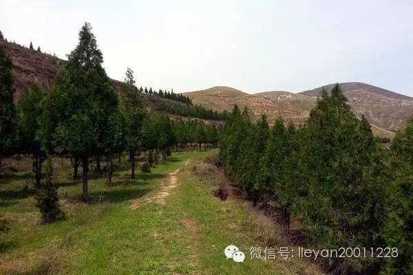 跨越千年时光看兵马俑,跨越千年唐十八陵