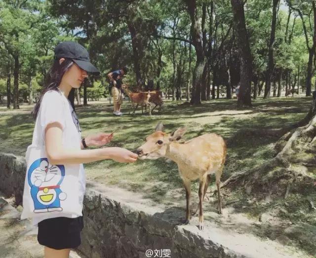 大表姐刘雯背什么包,刘雯都背什么包