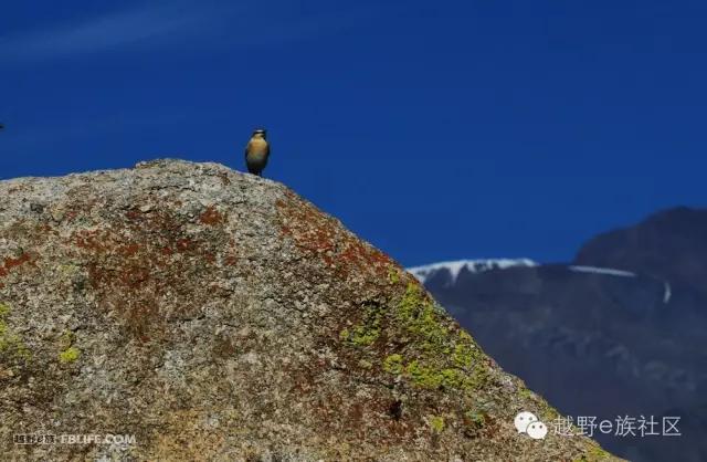 说走就走出去溜达,说走就走出去玩视频