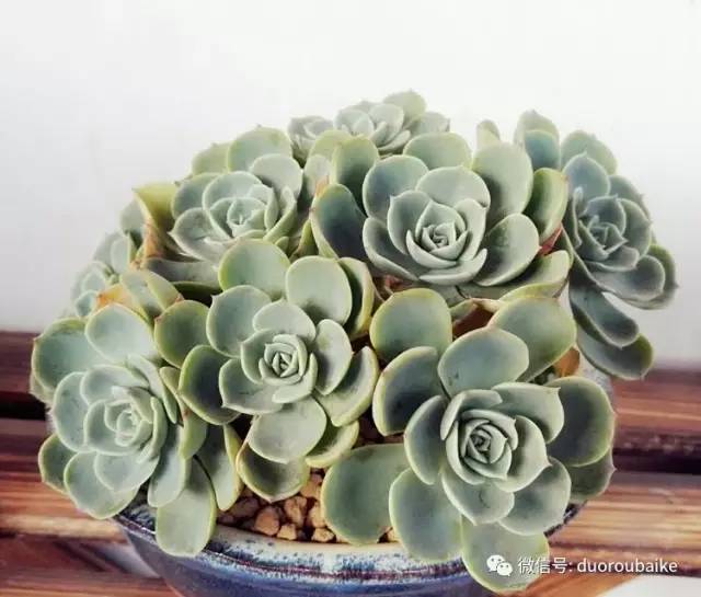 美好的时光带来快乐,美好的时光伴随着我