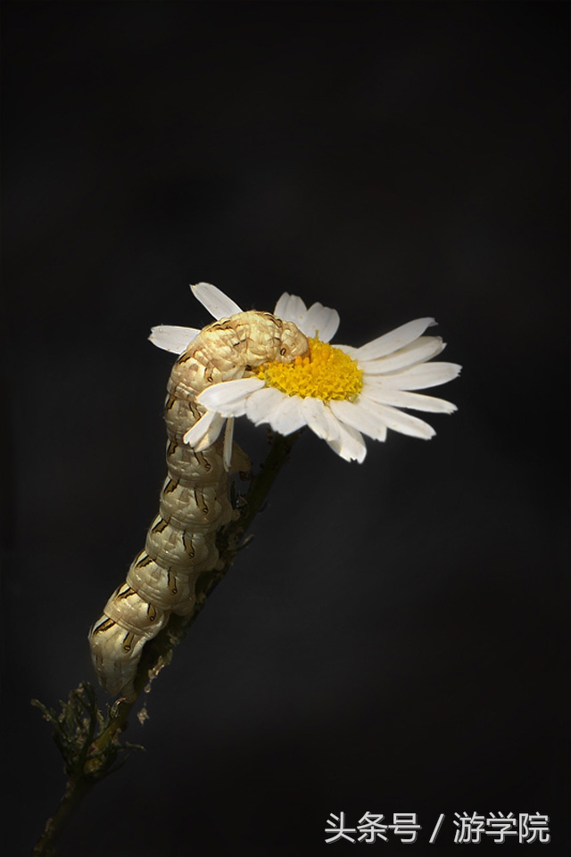 摄影答疑,解答摄影问题