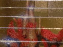 维密秀延续到了哪一年,公认最好看的一件维密秀