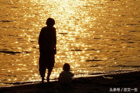 思尔为雏日高飞背母时原文,思尔为雏日高飞背母时全诗