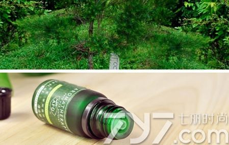 阿芙茶树精油的功效与用法,阿芙茶树精油氨基酸净澈洁面乳