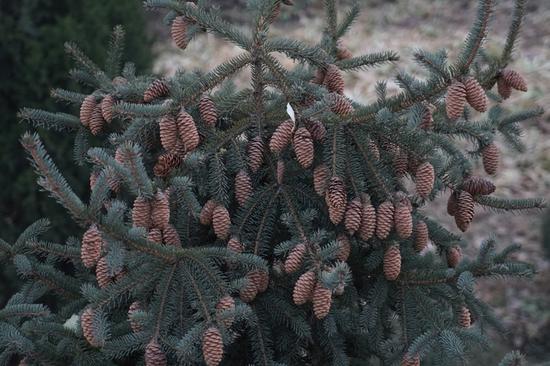 触控+5轴防抖全能快拍手索尼A6500评测