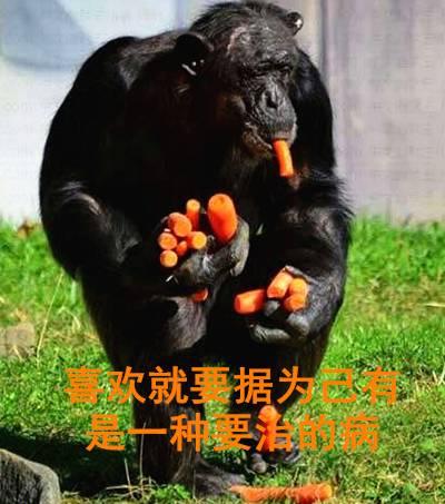 孕妇去保胎，新护士拿来一颗打胎药让她吃！现在孩子没了，医院却说……