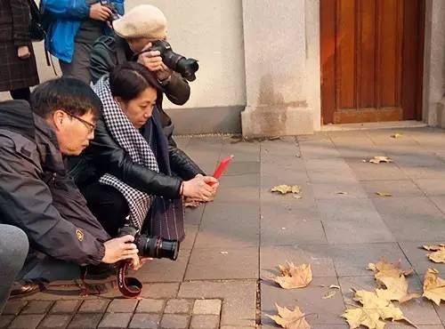 上海落叶不扫景观道,上海秋天不扫落叶的街道